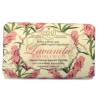 Nesti Dante Lavanda ROSA del CHIANTI sapone 150 gr